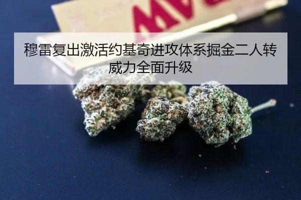 穆雷复出激活约基奇进攻体系掘金二人转威力全面升级