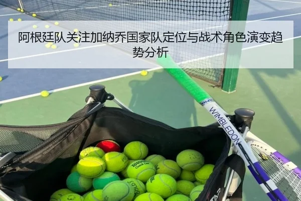 阿根廷队关注加纳乔国家队定位与战术角色演变趋势分析